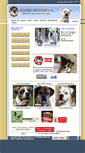 Mobile Screenshot of boxer-rescue-la.com